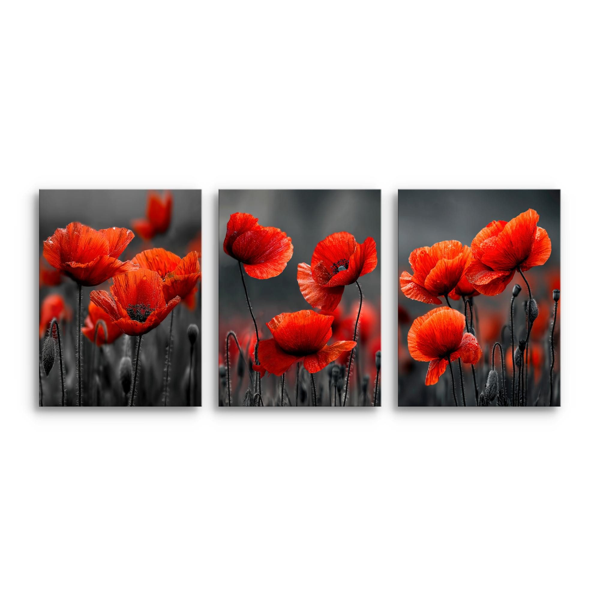 Novart Wandbild Baum des Lebens Abstrakt Modern Wandbilder Set Wohnzimmer, Mohnblumen