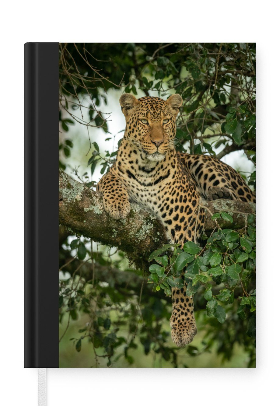 MuchoWow Notizbuch Panther - Baum - Wilde Tiere, Journal, Merkzettel, Tagebuch, Notizheft, A5, 98 Seiten, Haushaltsbuch
