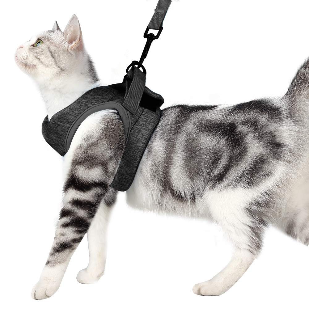 Ledander Katzen-Geschirr Katzengeschirr mit Leine Softgeschirr günstig online kaufen