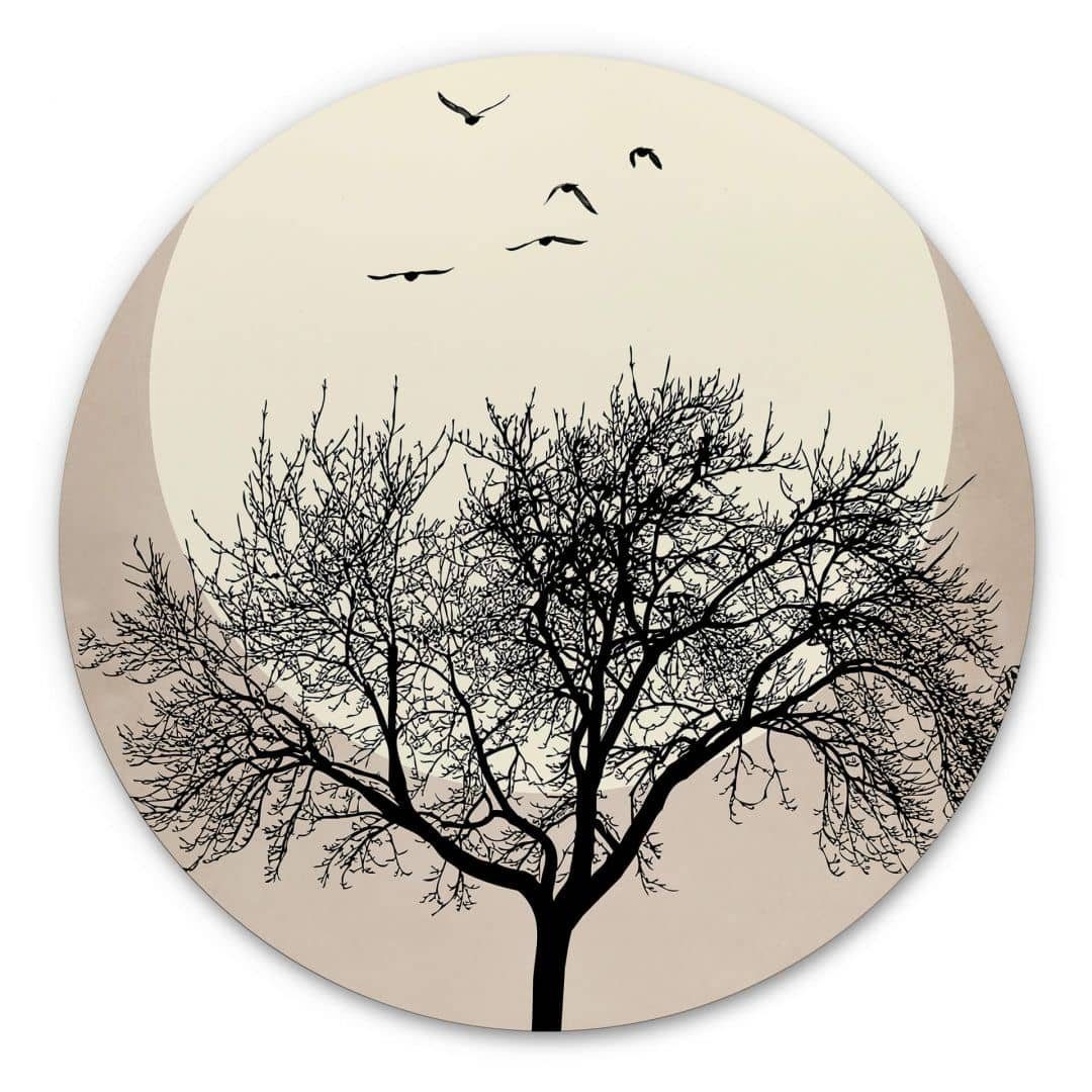 Alu Art Bilder online kaufen OTTO