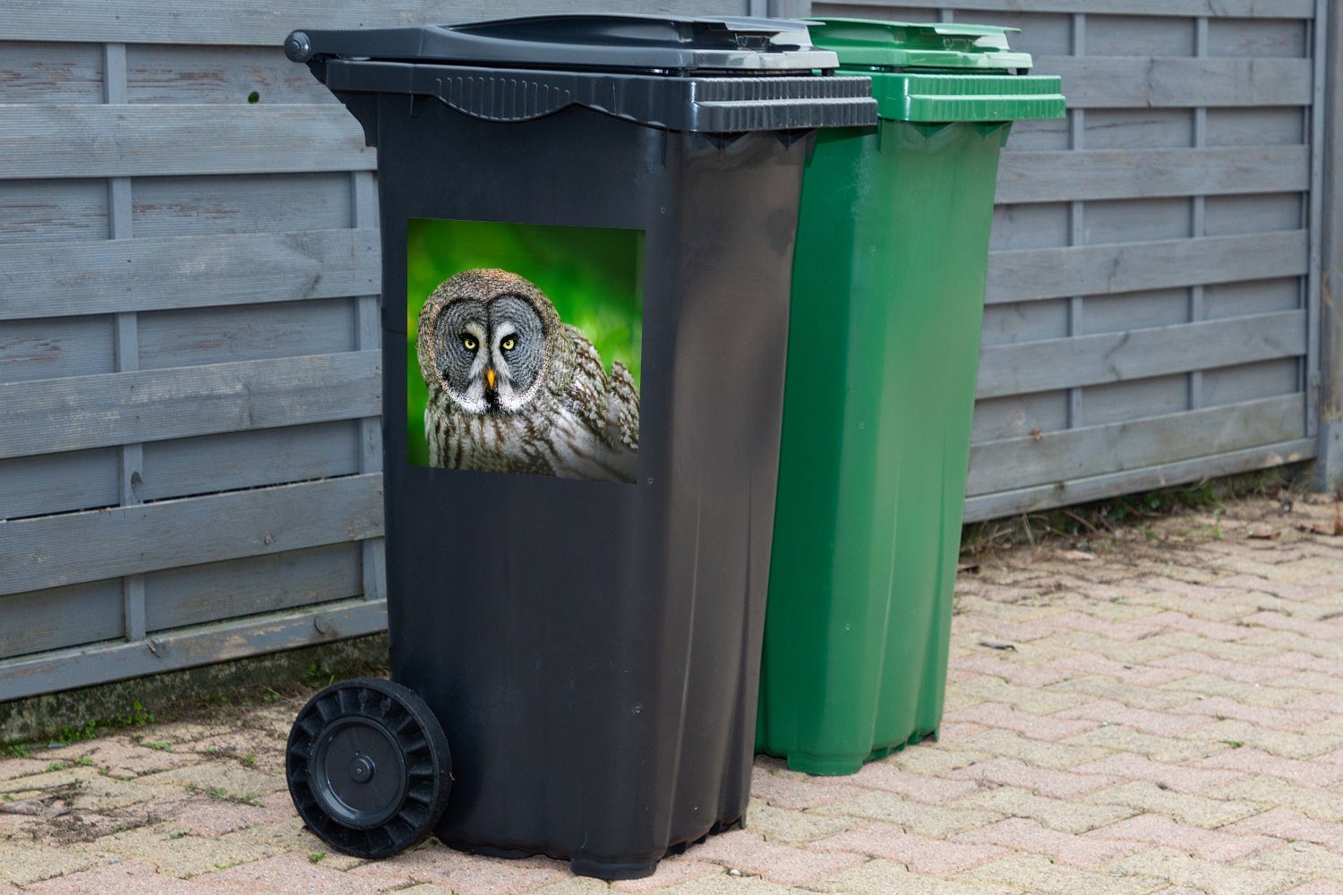MuchoWow Wandsticker Vogel - Eule Porträt Braun - St), Mülltonne, Mülleimer-aufkleber, - Sticker, (1 Container, - Tiere Abfalbehälter