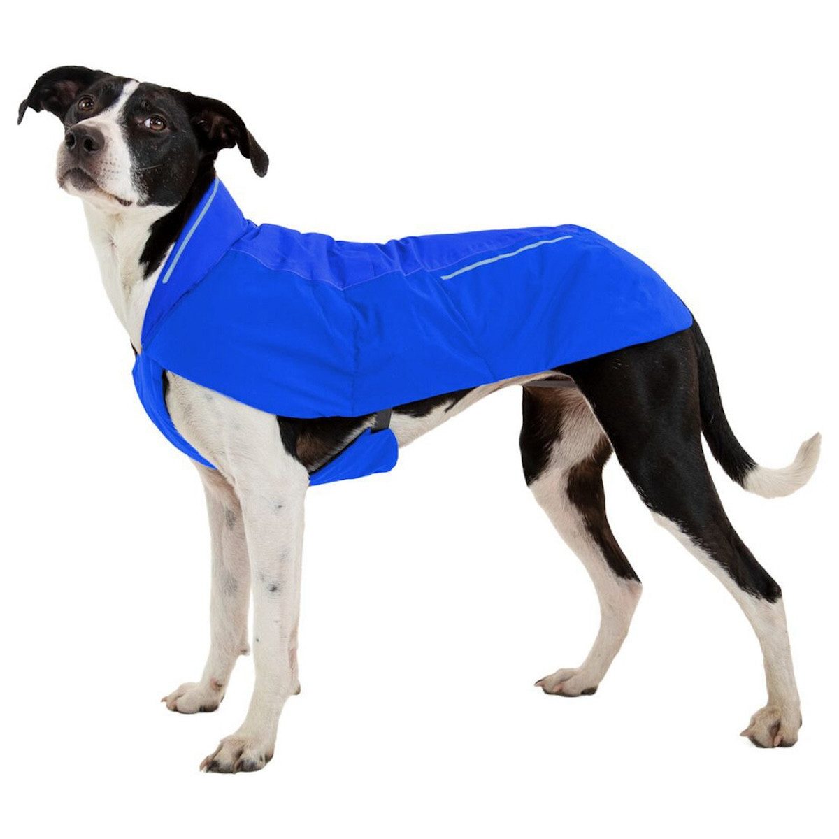 Ruffwear Hundemantel Hundejacke Vert Jacket Blue Pool