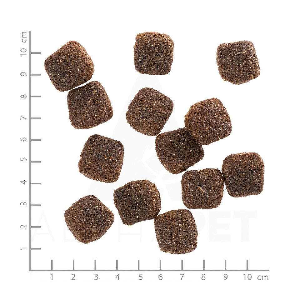 Wolfsblut Wild Duck Adult Large Breed - Trockenfutter mit großen Kroketten, Trockenfutter für: Hunde