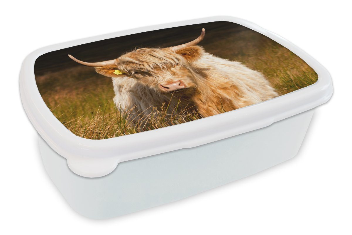 Mädchen Highlander Gras - MuchoWow - Jungs für Licht Lunchbox Brotdose, (2-tlg), Brotbox für Schottische und - Kunststoff, weiß und Tiere, Kinder Erwachsene,