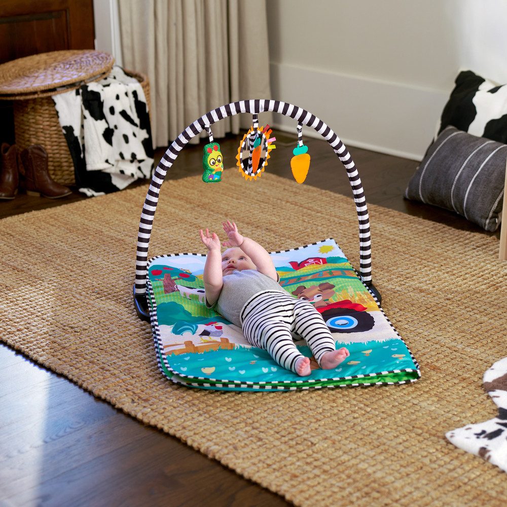 Baby Einstein Spielbogen Farm Explorers Busy Barnyard Grow With Me, mit Sound