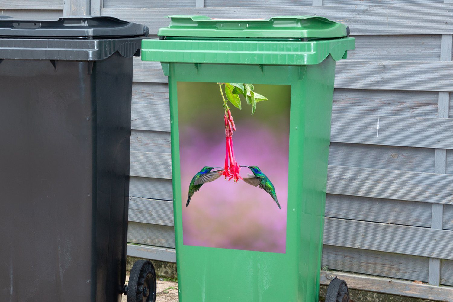 Wandsticker Mülltonne, Kolibri Sticker, (1 Vogel Rot St), MuchoWow - Mülleimer-aufkleber, - Blau - Container, Abfalbehälter