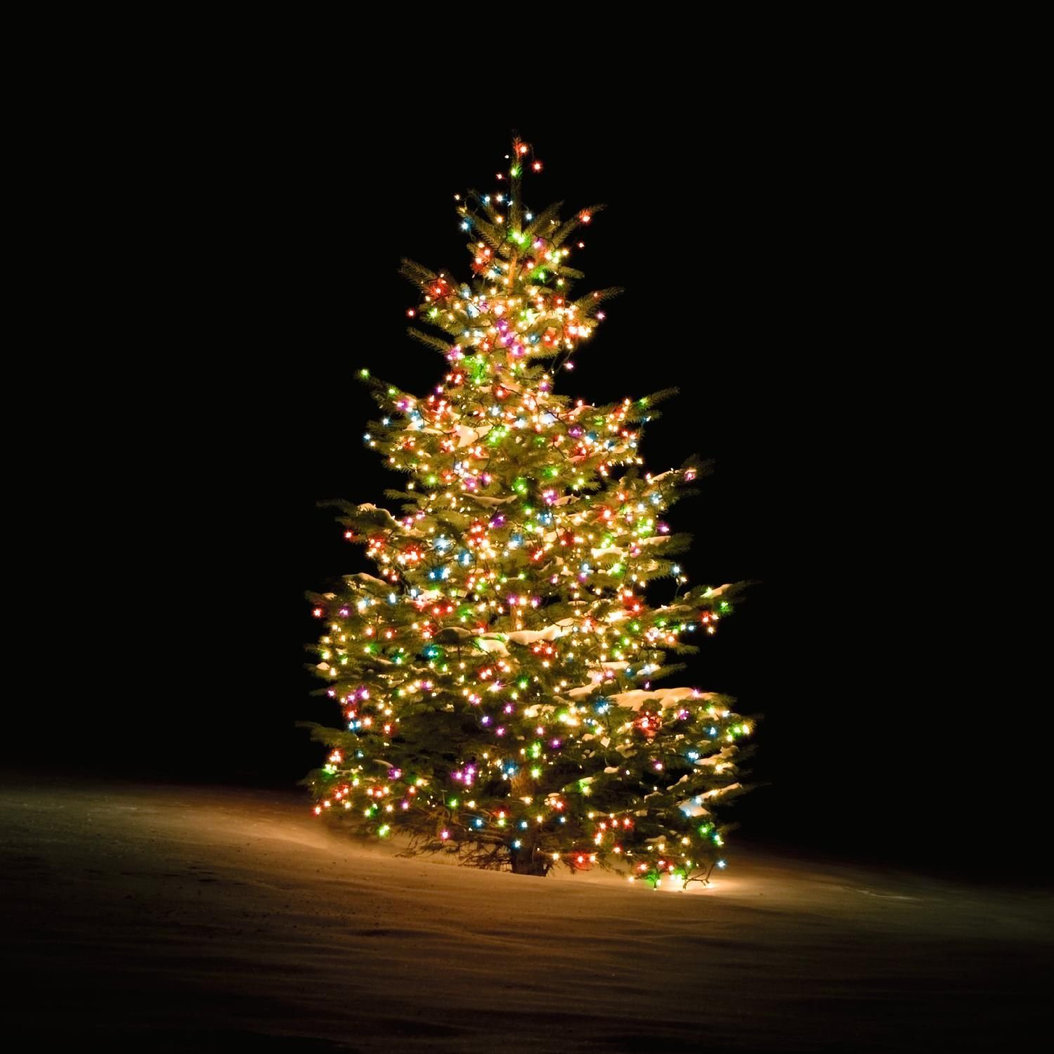 DELTACO SMART HOME LED-Lichterkette Smarte Weihnachtsbaum-Lichterkette RGB mit 300 LEDs 2 m mehrfarbig, inkl. 5 Jahre Herstellergarantie