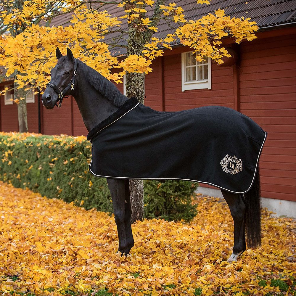 Back on track Ausreitdecke Back on Track Edward Wool Rug