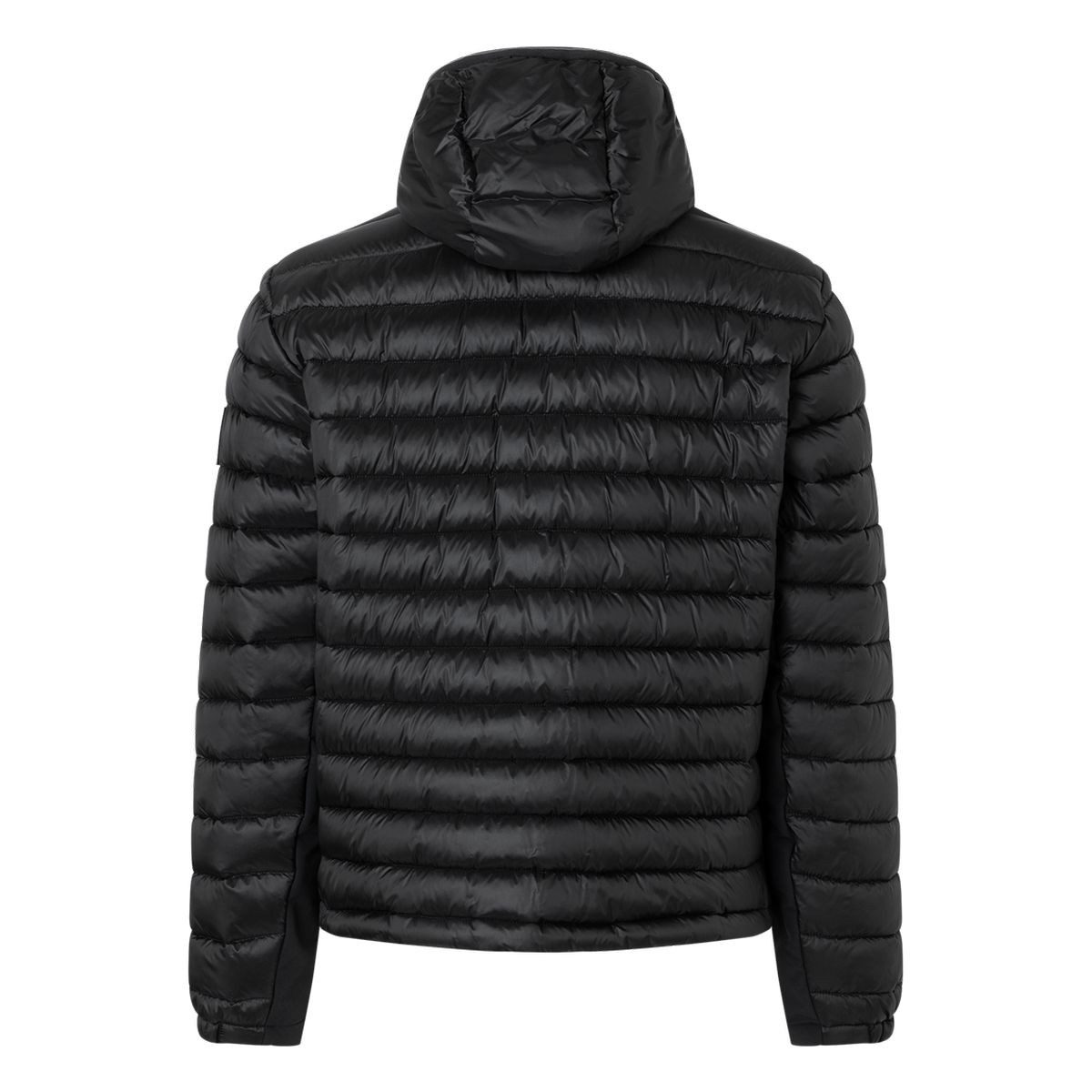 Bogner Fire + Ice Steppjacke BOGNER Fire + Ice Elvis - Herren Steppjacke günstig online kaufen