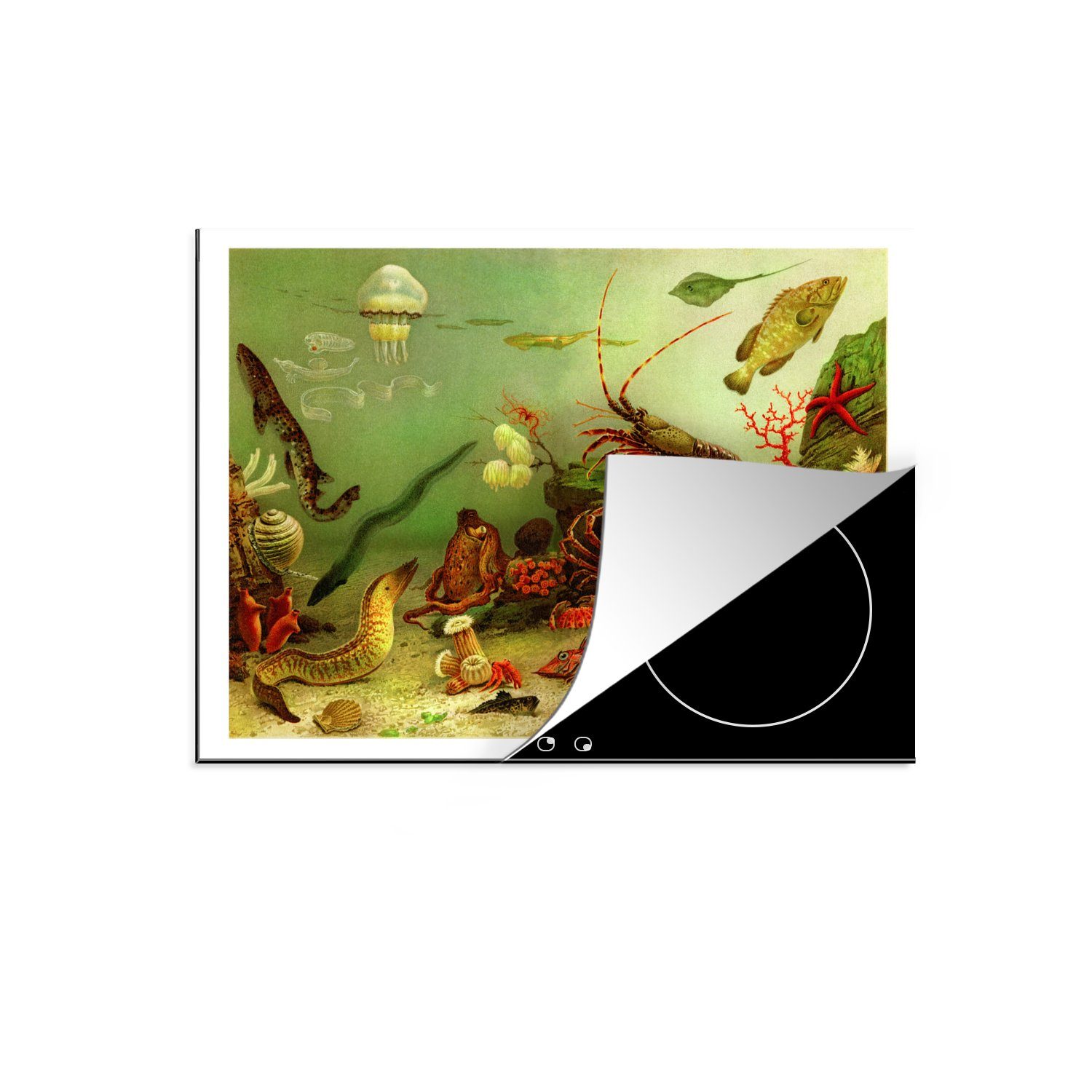 MuchoWow Herdblende-/Abdeckplatte Illustration eines unterseeischen Ökosystems, Vinyl, (1 tlg), 71x52 cm, Induktionskochfeld Schutz für die küche, Ceranfeldabdeckung