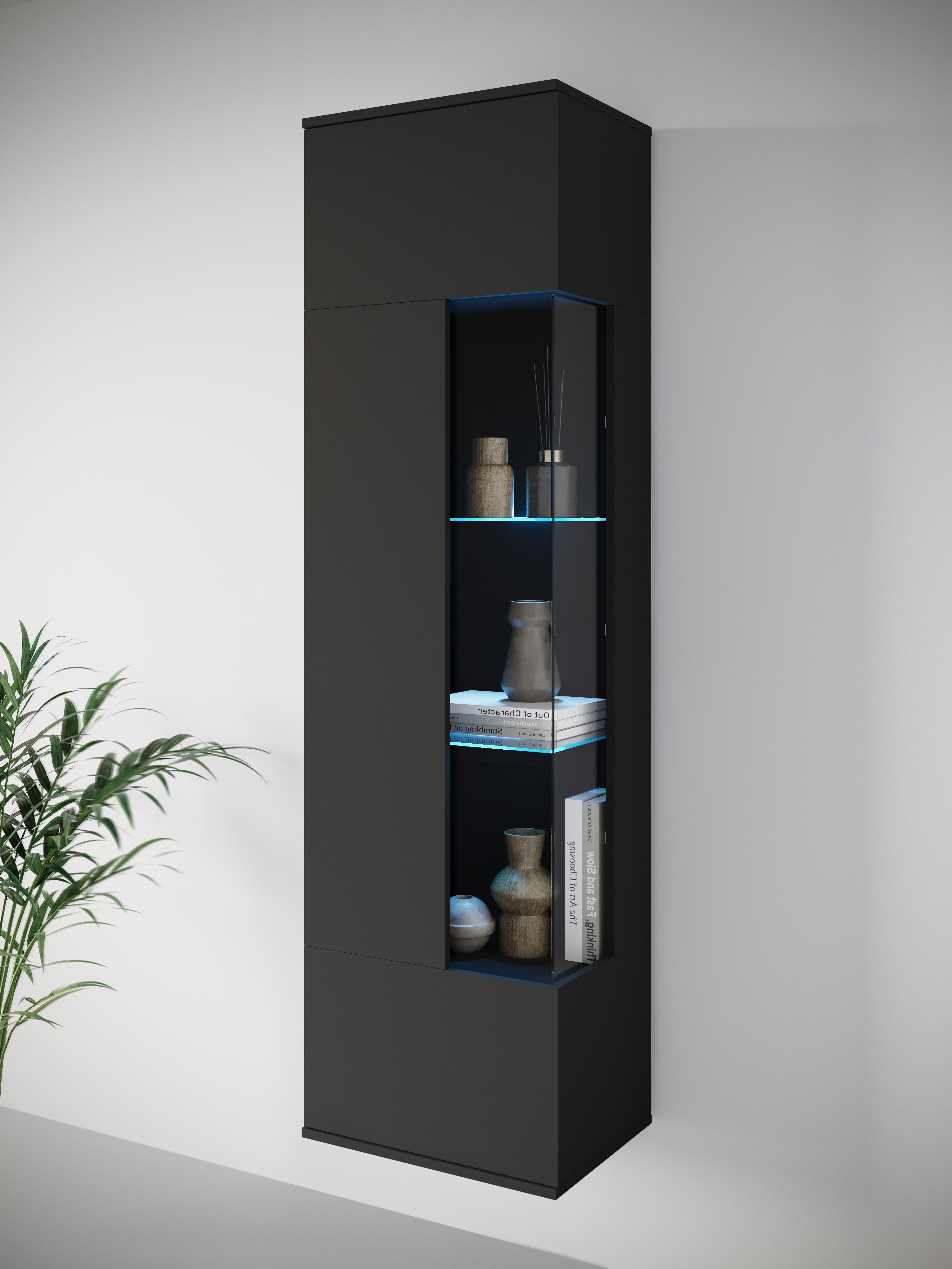 INOSIGN Vitrine Kenia, stehend und hängend, günstig online kaufen