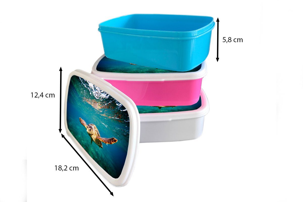 Schildkröte Wasser - Erwachsene, Snackbox, Mädchen, Kunststoff Kinder, Brotdose rosa Kunststoff, - Blau, Brotbox für Lunchbox MuchoWow (2-tlg),