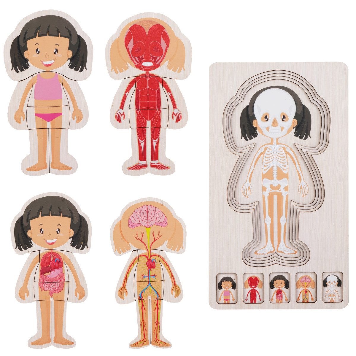 Barbo Toys Puzzle Holzschichtpuzzle Mädchen Unisex Kinder, 1 Puzzleteile