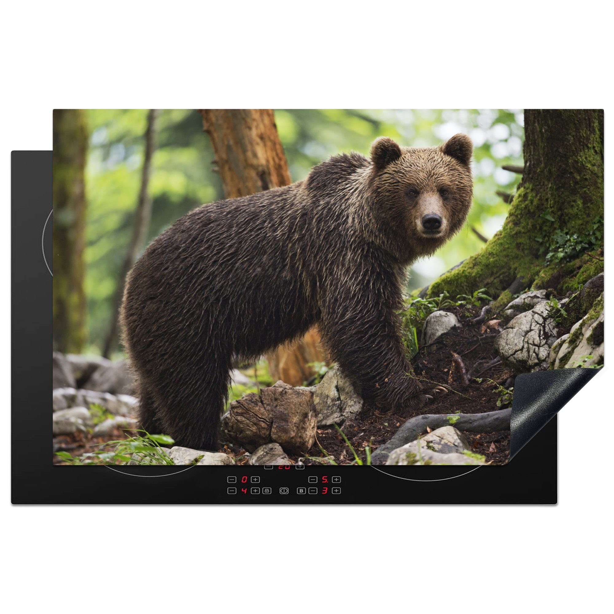MuchoWow Herdblende-/Abdeckplatte Bild eines Grizzlybären im Wald, Vinyl, (1 tlg), 81x52 cm, Induktionskochfeld Schutz für die küche, Ceranfeldabdeckung
