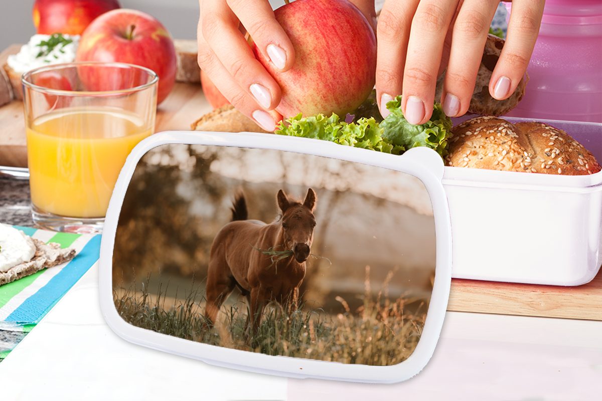 Lunchbox weiß Erwachsene, für Brotbox Kunststoff, Mädchen Sonne Gras, MuchoWow Kinder und - Pferd - Brotdose, Jungs und (2-tlg), für