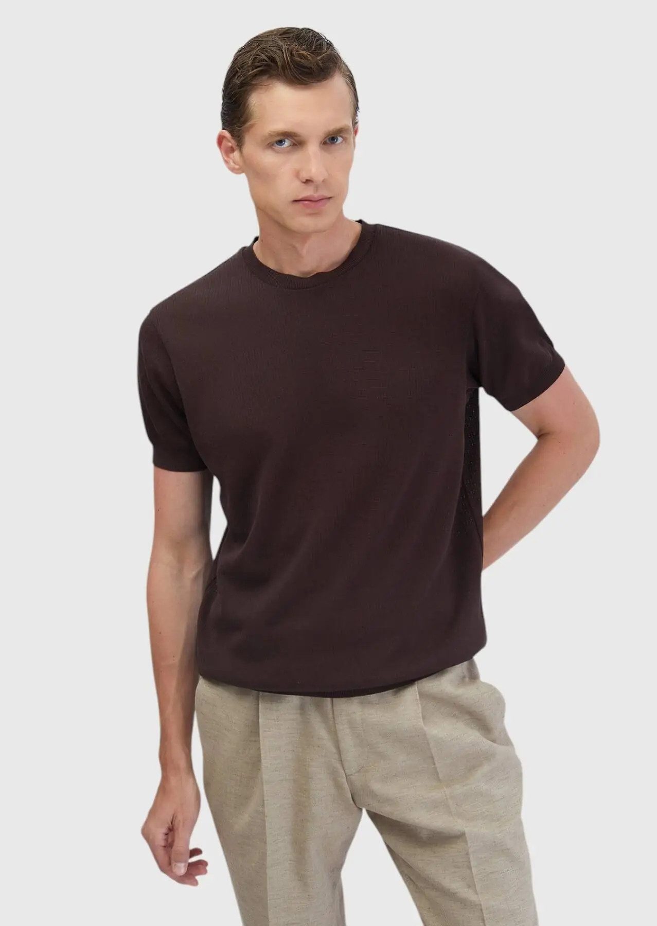 RAMSEY T-Shirt Braunes Jacquard-T-Shirt mit Rundhalsausschnitt aus 100 % Baumwolle