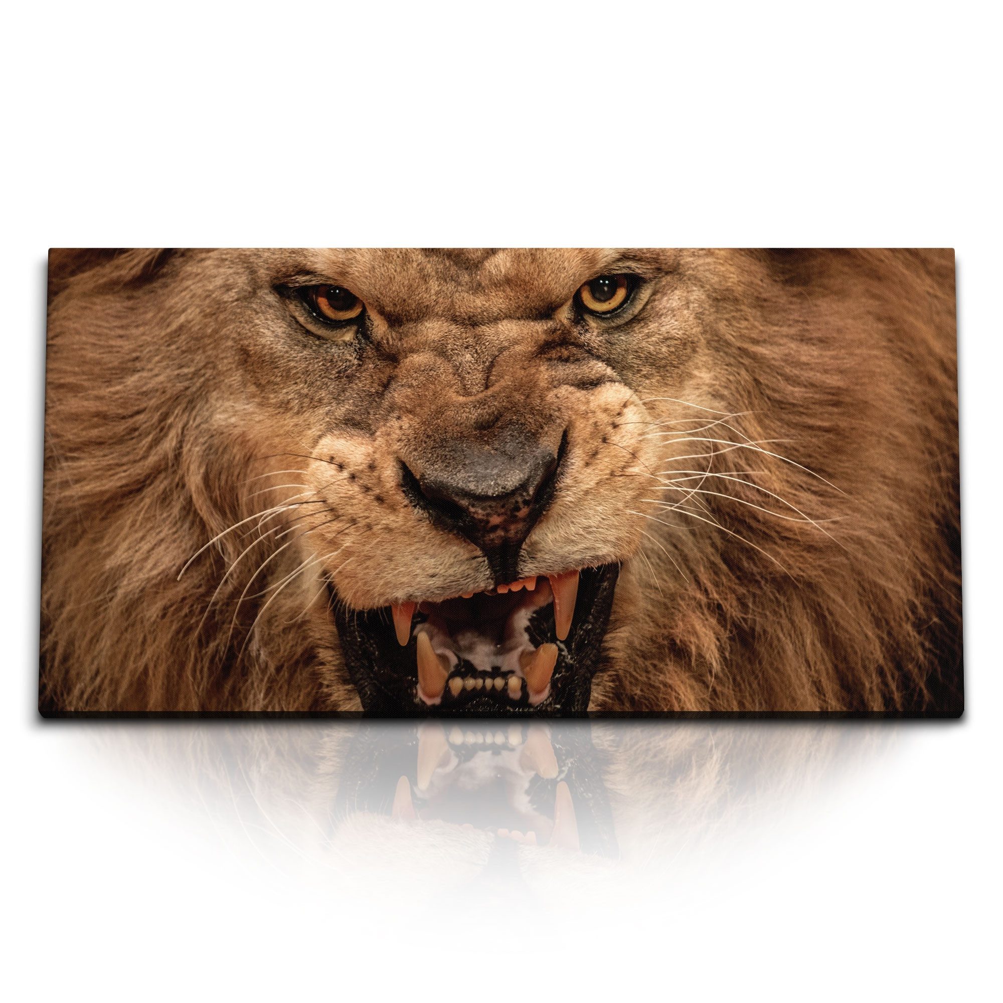 Leinwandbild Kunstdruck Bilder 120x60cm Löwe Tierfotografie Fangzähne Wild Raubkatz