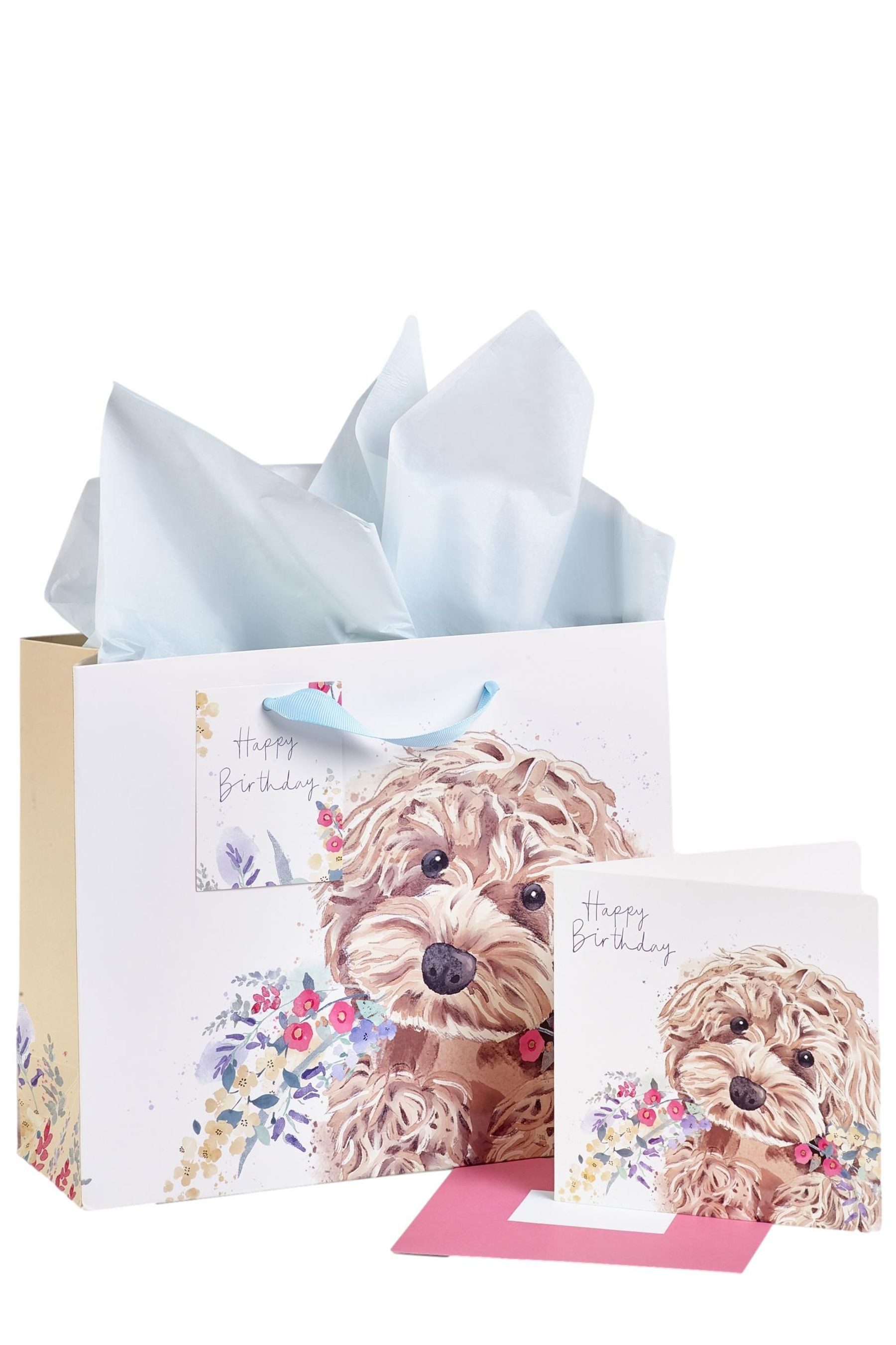 Next Geschenkpapier Geschenktasche und Karte im Set Cockapoo, (1St)