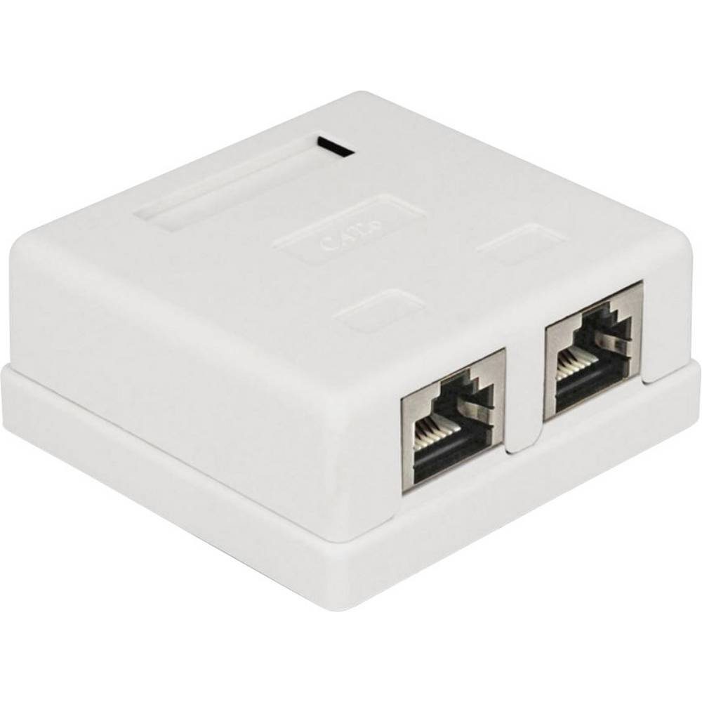 Netzwerk Anschlussdose 2 Port Cat.6 Netzwerk-Adapter