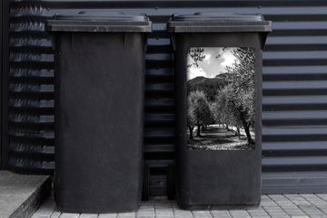 MuchoWow Wandsticker Eine Allee von italienischen Olivenbäumen - schwarz und weiß (1 St), Mülleimer-aufkleber, Mülltonne, Sticker, Container, Abfalbehälter