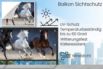 MuchoWow Balkonsichtschutz Pferde - Tiere - Sand (1-St) Balkonbanner, Sichtschutz für den Balkon, Robustes und wetterfest