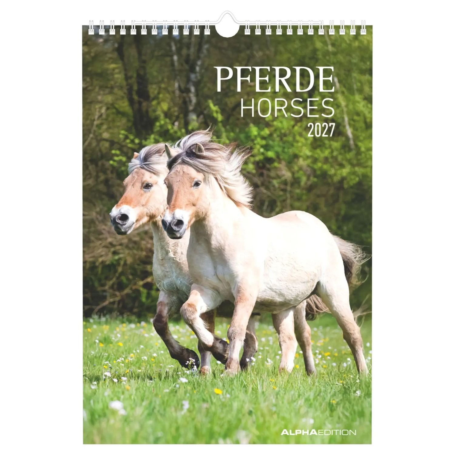 NEUMANN Wandkalender Pferde 2027