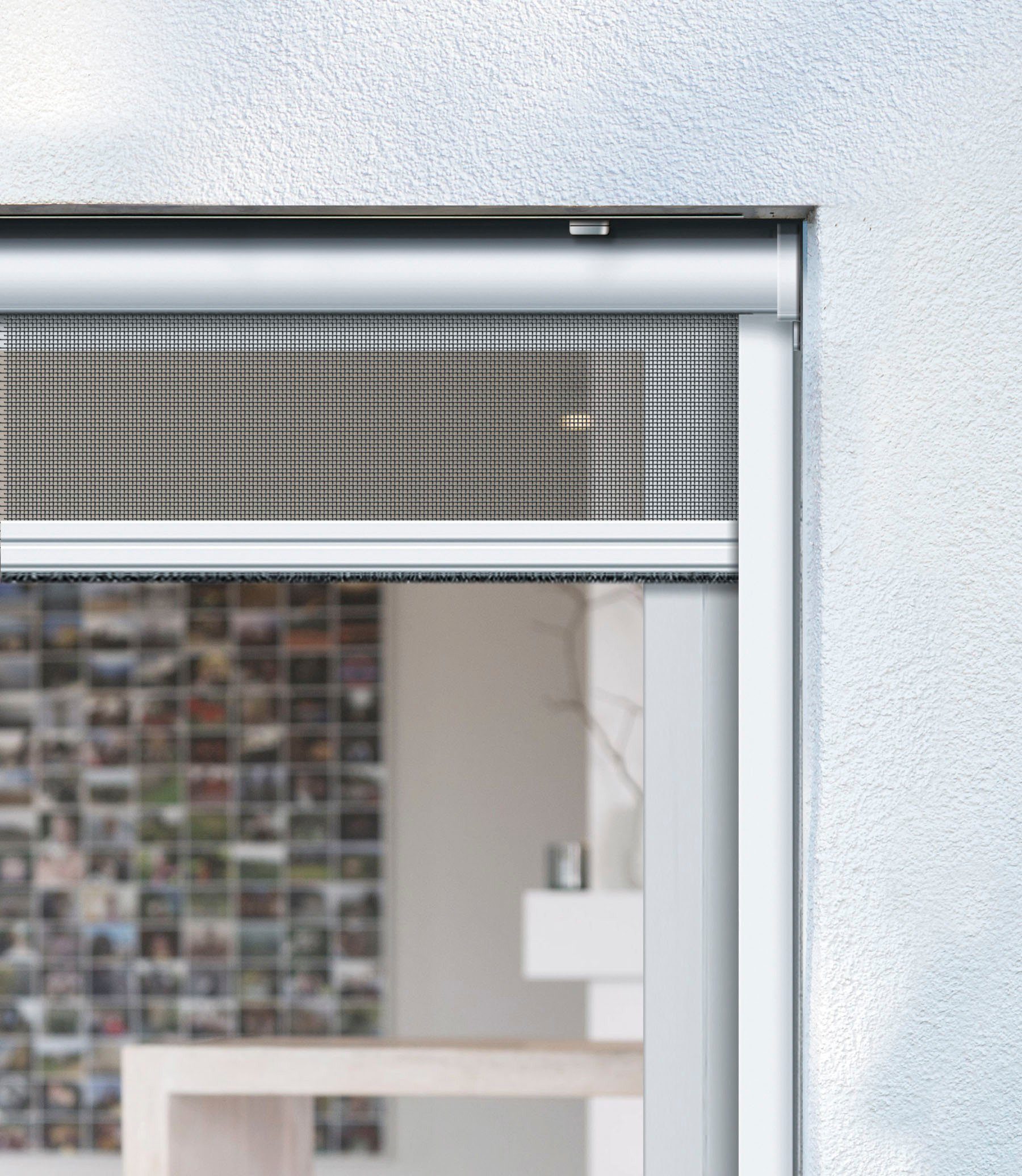 Insektenschutzrollo für Fenster, SCHELLENBERG, verschraubt, weiß, 100 Fliegengitter, x cm, 160 70890