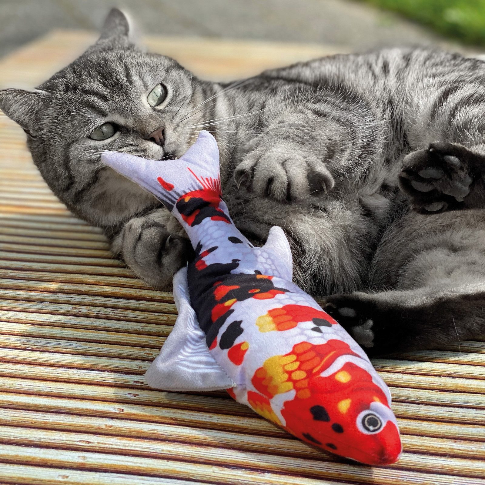 Thumbnail - Aumüller Tierkuscheltier Katzenspielzeug Koi, Zappel-Fisch mit Katzenminze