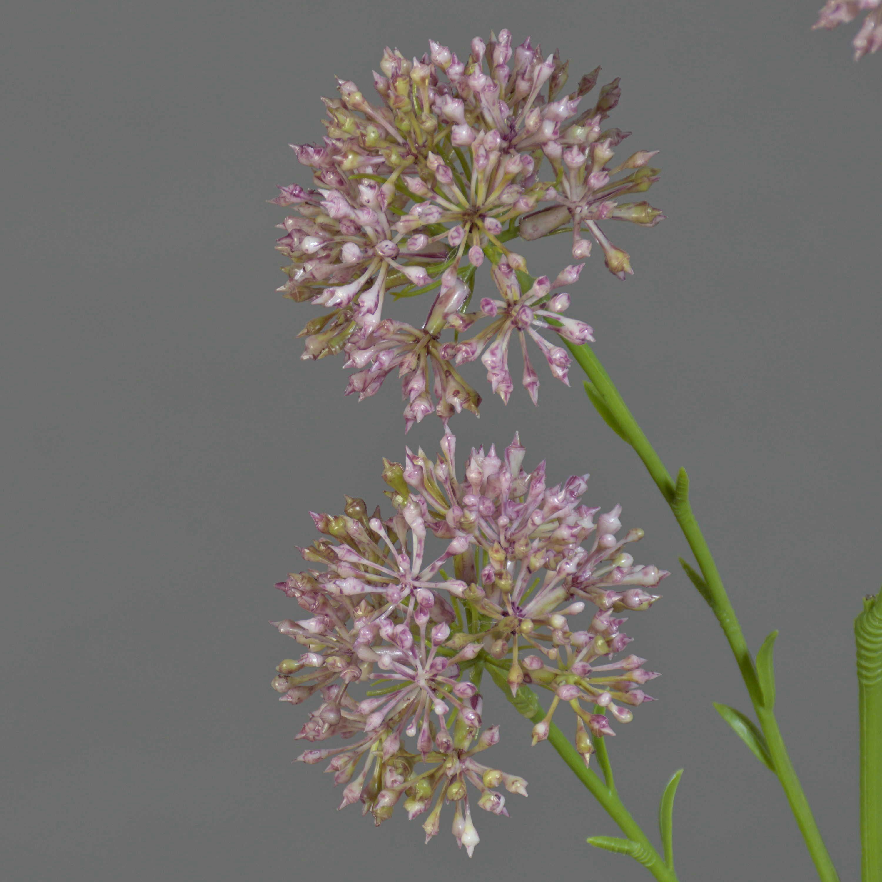 Kunstzweig Allium ALIKIO, lila, 65cm, Ø6,5cm Allium, artplants, Höhe 65.0 cm