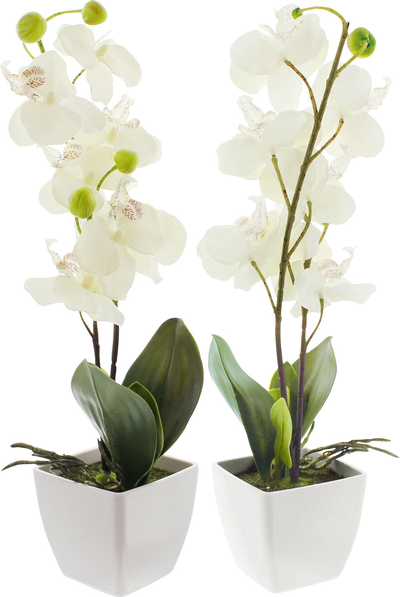 Kunstpflanze Kunstpflanze Orchidee 2er-Pack