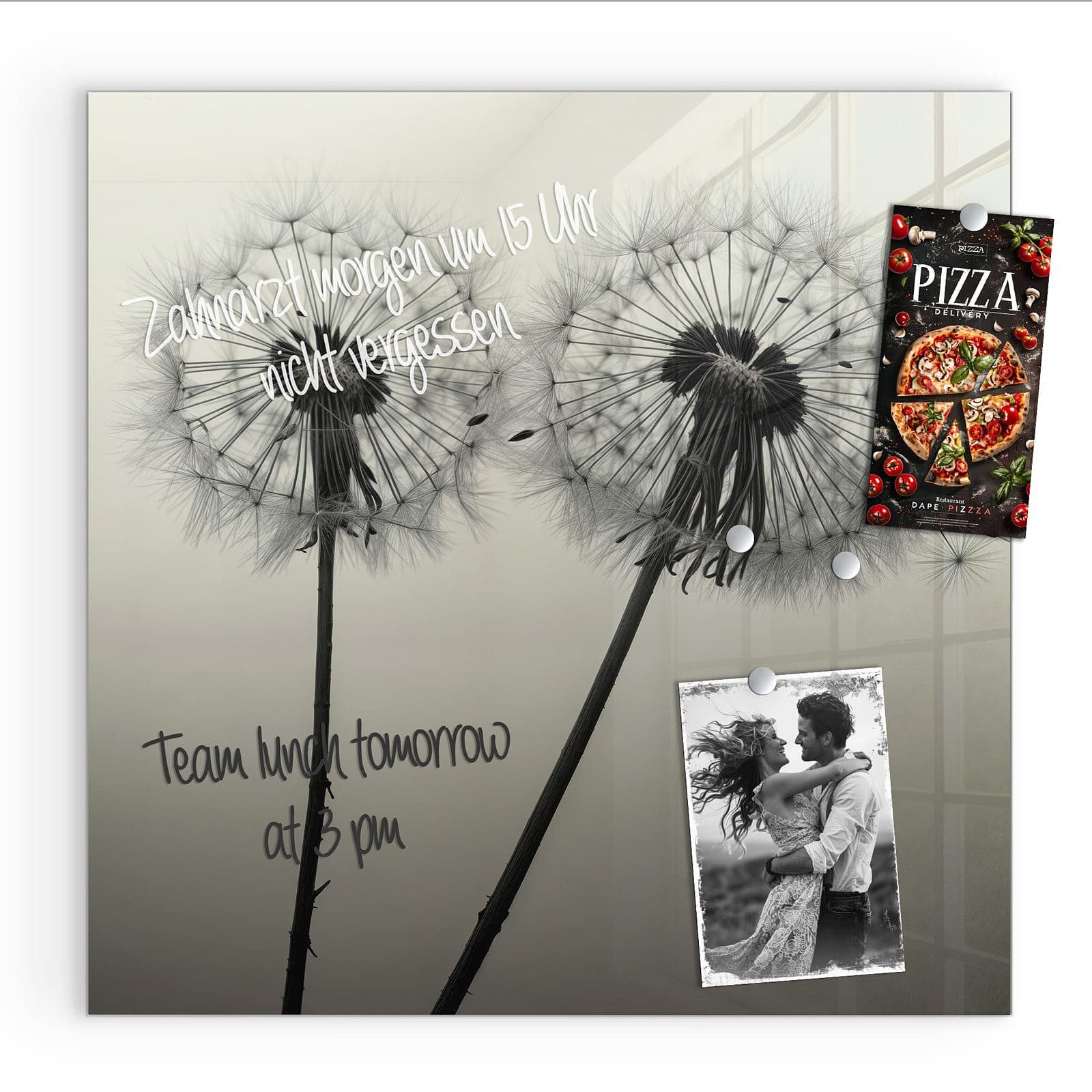 Primedeco Magnettafel Glas Pusteblume Schwarz Pinnwand günstig online kaufen
