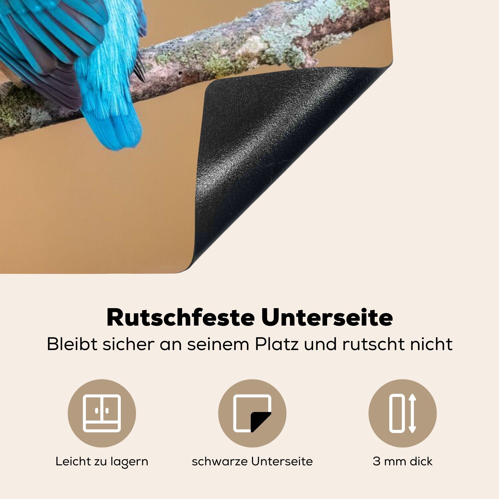 MuchoWow Herdblende-/Abdeckplatte Vogel - Eisvogel tlg), Zweig, 81x52 cm, küche - Vinyl, (1 Ceranfeldabdeckung, Tiere Arbeitsplatte für 