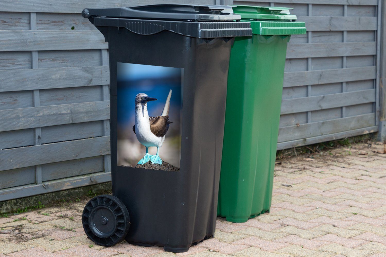 Mülleimer-aufkleber, sonnigen Container, Wandsticker Felsen Mülltonne, einem auf einem an Abfalbehälter Nachmittag St), (1 MuchoWow der Sticker, Blaufußtölpel, sitzt