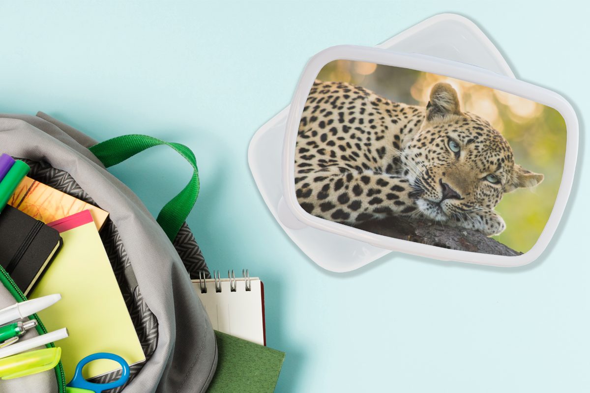 Erwachsene, Brotbox und - für Kunststoff, Leopard MuchoWow Jungs Kinder für Brotdose, Natur Sonnenuntergang, Mädchen und weiß Lunchbox - (2-tlg),