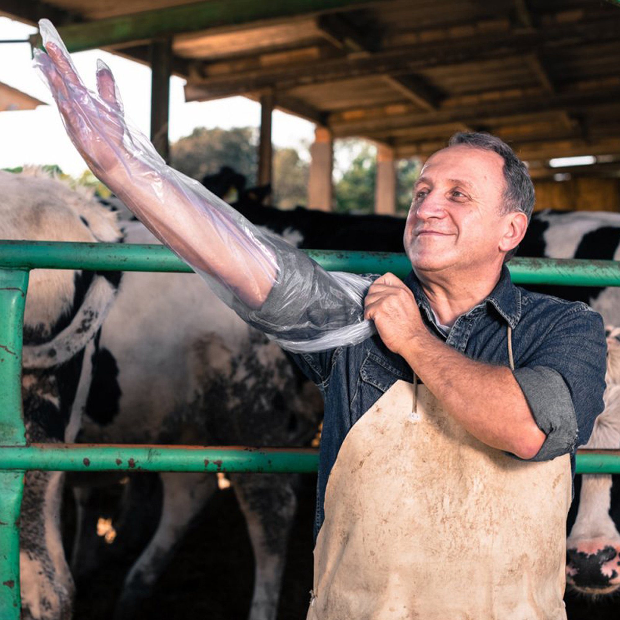 TEQLER Erste-Hilfe-Set transparent