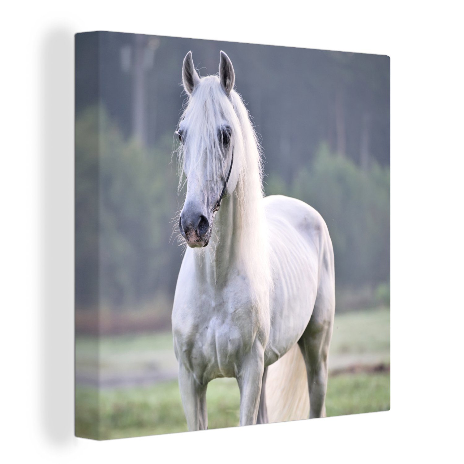 OneMillionCanvasses® Leinwandbild Pferd - für Licht Wohnzimmer Bilder Leinwand - Schlafzimmer Morgen, (1 St)