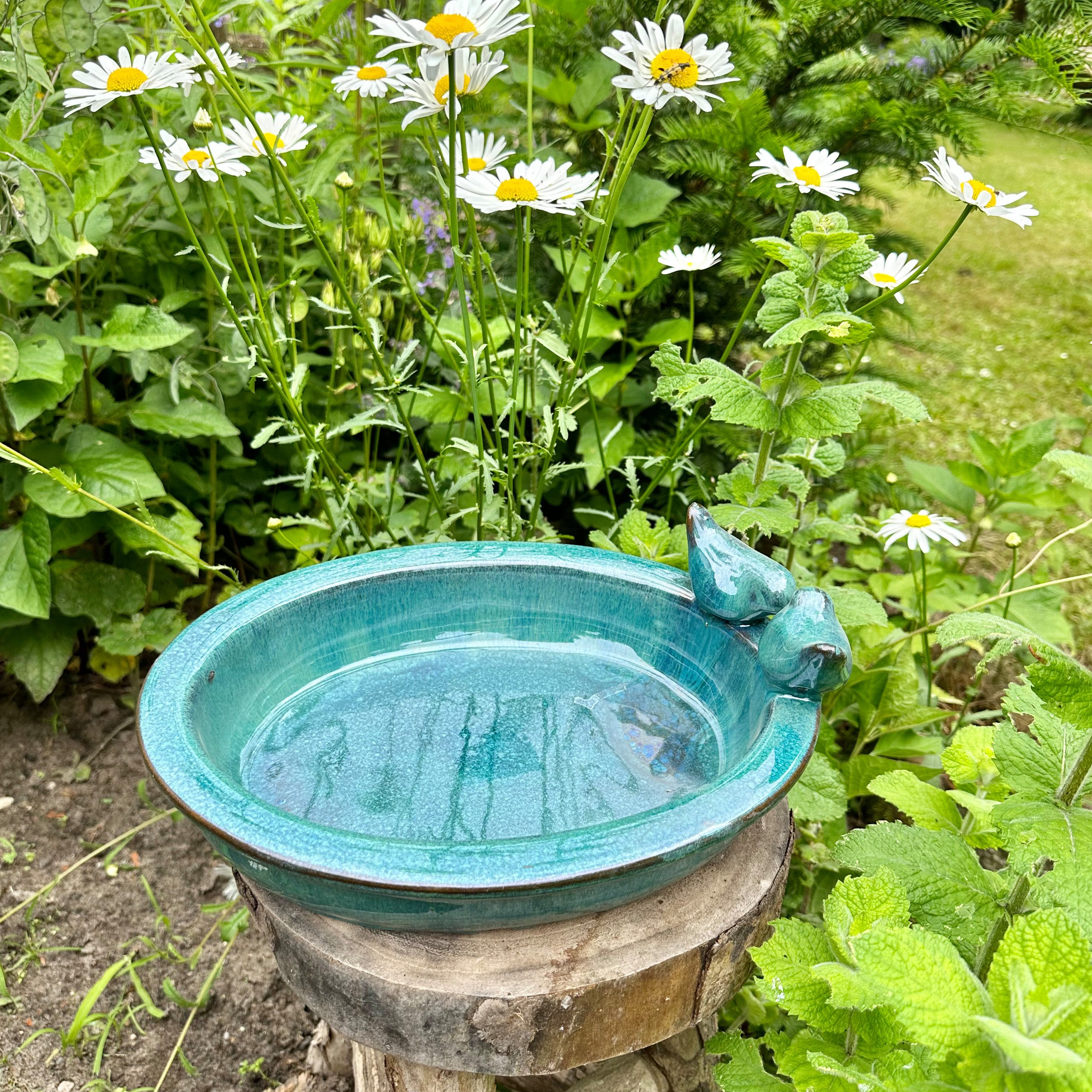 Antikas Futterstation Vogeltränke, Vogelbad - Oval, günstig online kaufen