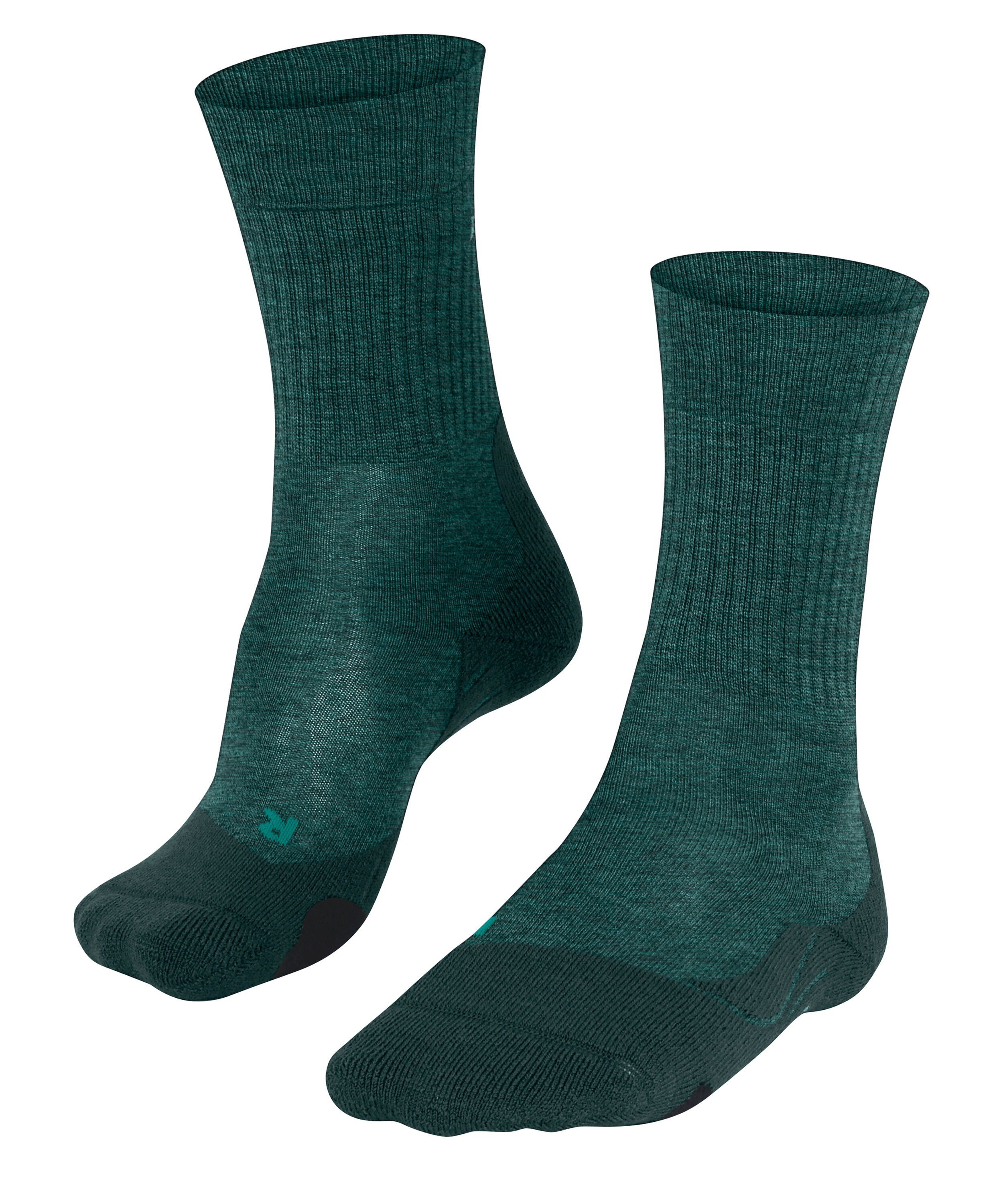 FALKE Wandersocken TK2 Explore Wool (1-Paar) Hoher Komfort im Mittelgebirge holly (7385)