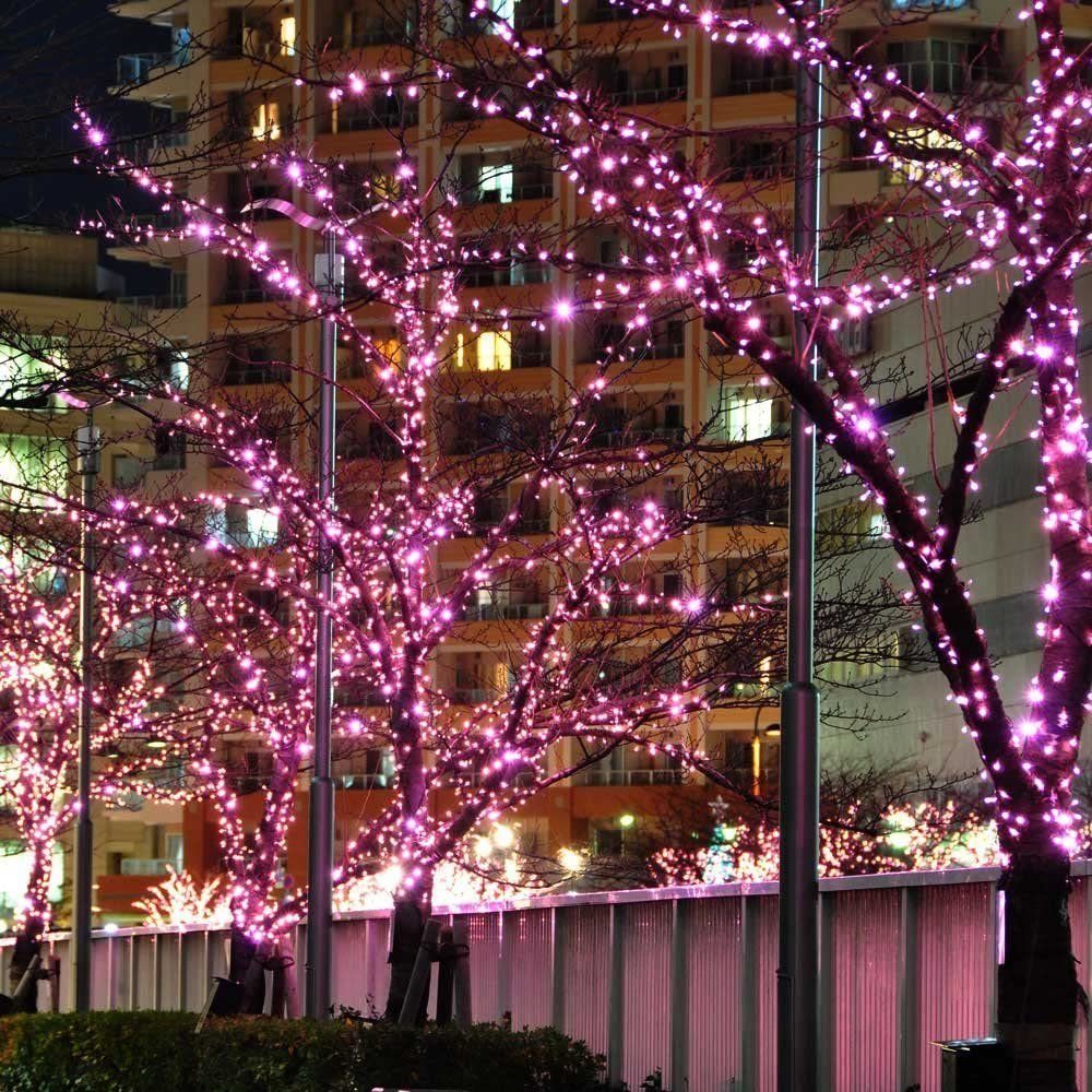 Dekolicht,Weihnachtsbeleuchtung,LED Rosa Lichterkette Laybasic Halloween,Party,Fensterdeko Lichterkette LED Licht, Vorhang 8 Modi,10M/20M/30M/50M/100M,für