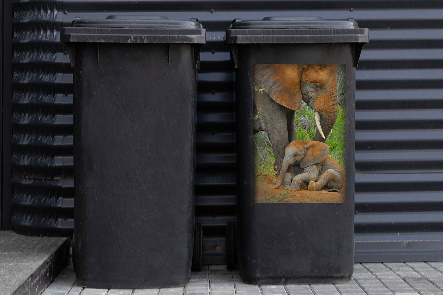 Sand (1 Abfalbehälter - Elefant - Mülleimer-aufkleber, Tiere Mülltonne, - Natur Sticker, Container, St), MuchoWow Wandsticker
