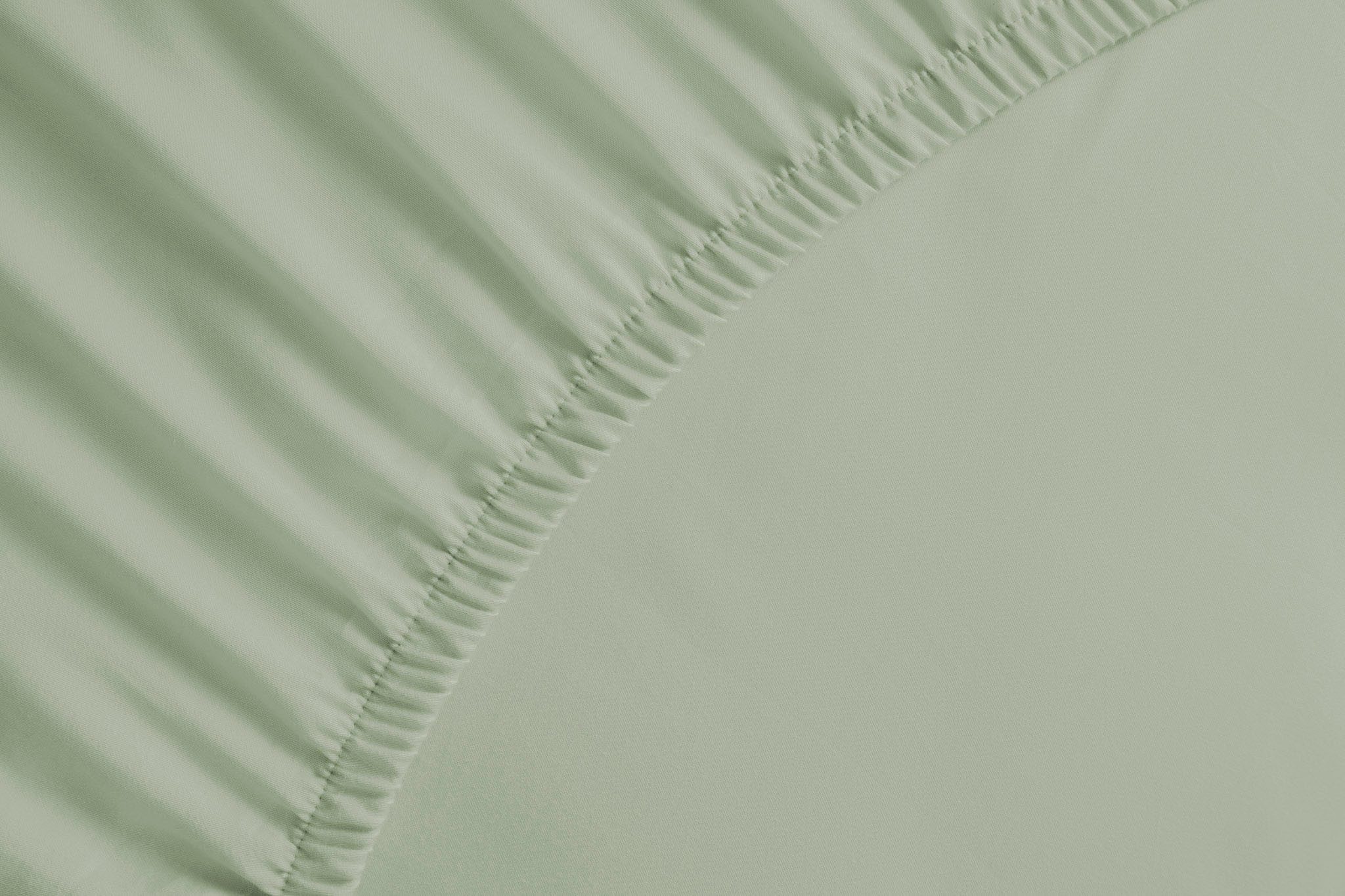 YELLOW Spannbettlaken Percale, Perkal, Gummizug: rundum, günstig online kaufen