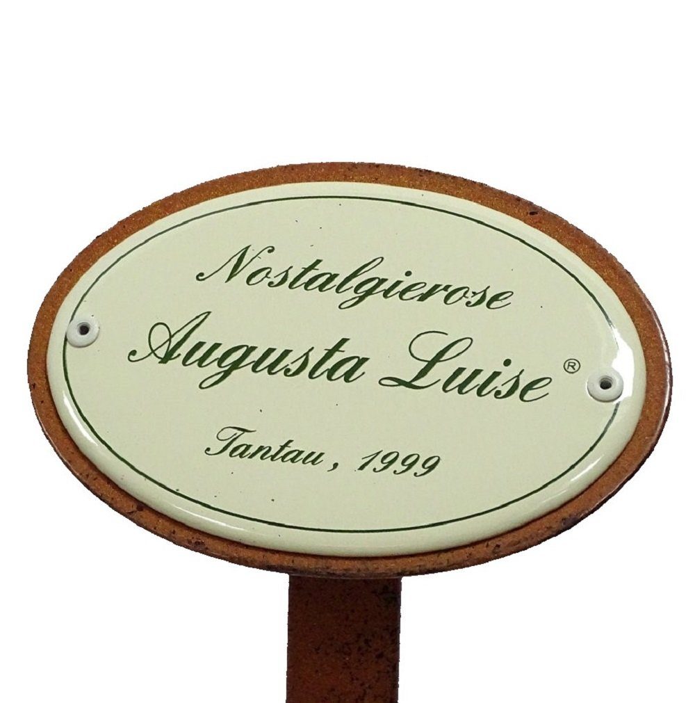 Linoows Gartenstecker Rosenschild Rosenstecker Nostalgierose Augusta Luise 1999