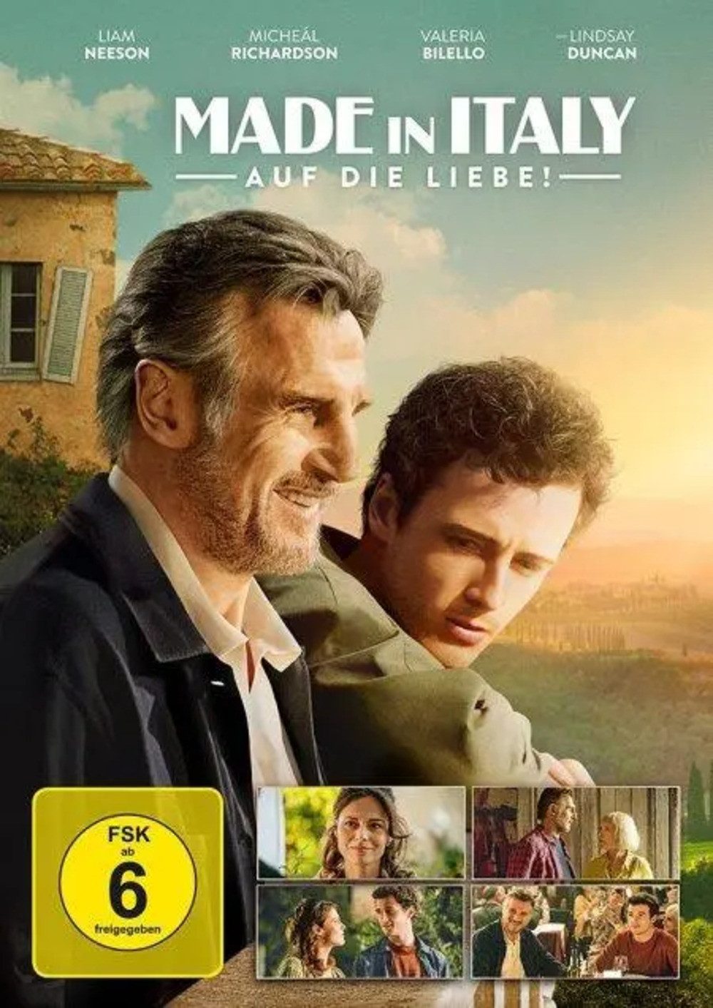 DVD Made in Italy - Auf die Liebe!