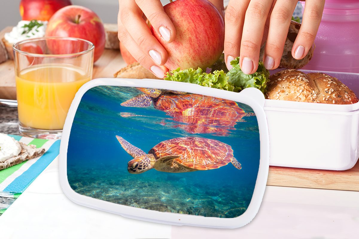 Mädchen für für - Brotbox Jungs Lunchbox Erwachsene, und Kinder Schwimmen Kunststoff, - Brotdose, und Spiegelung, (2-tlg), - Schildkröte weiß Wasser MuchoWow