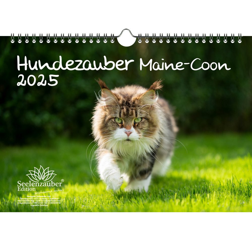 Seelenzauber Wandkalender Katzenzauber Maine-Coon DIN A4 Kalender für 2025 Katzen