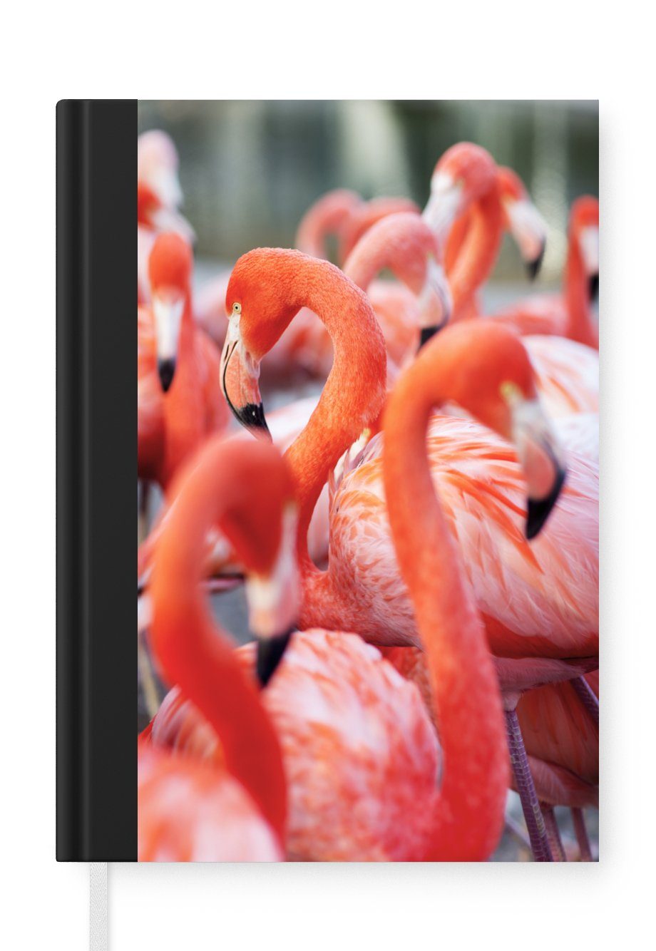 MuchoWow Notizbuch Gruppe von Flamingos auf der Suche nach Nahrung, Journal, Merkzettel, Tagebuch, Notizheft, A5, 98 Seiten, Haushaltsbuch