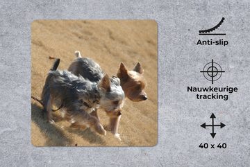 MuchoWow Gaming Mauspad Zwei kleine Yorkshire Terrier gehen am Strand spazieren (1-St), Mousepad mit Rutschfester Unterseite, Gaming, 40x40 cm, XXL, Großes