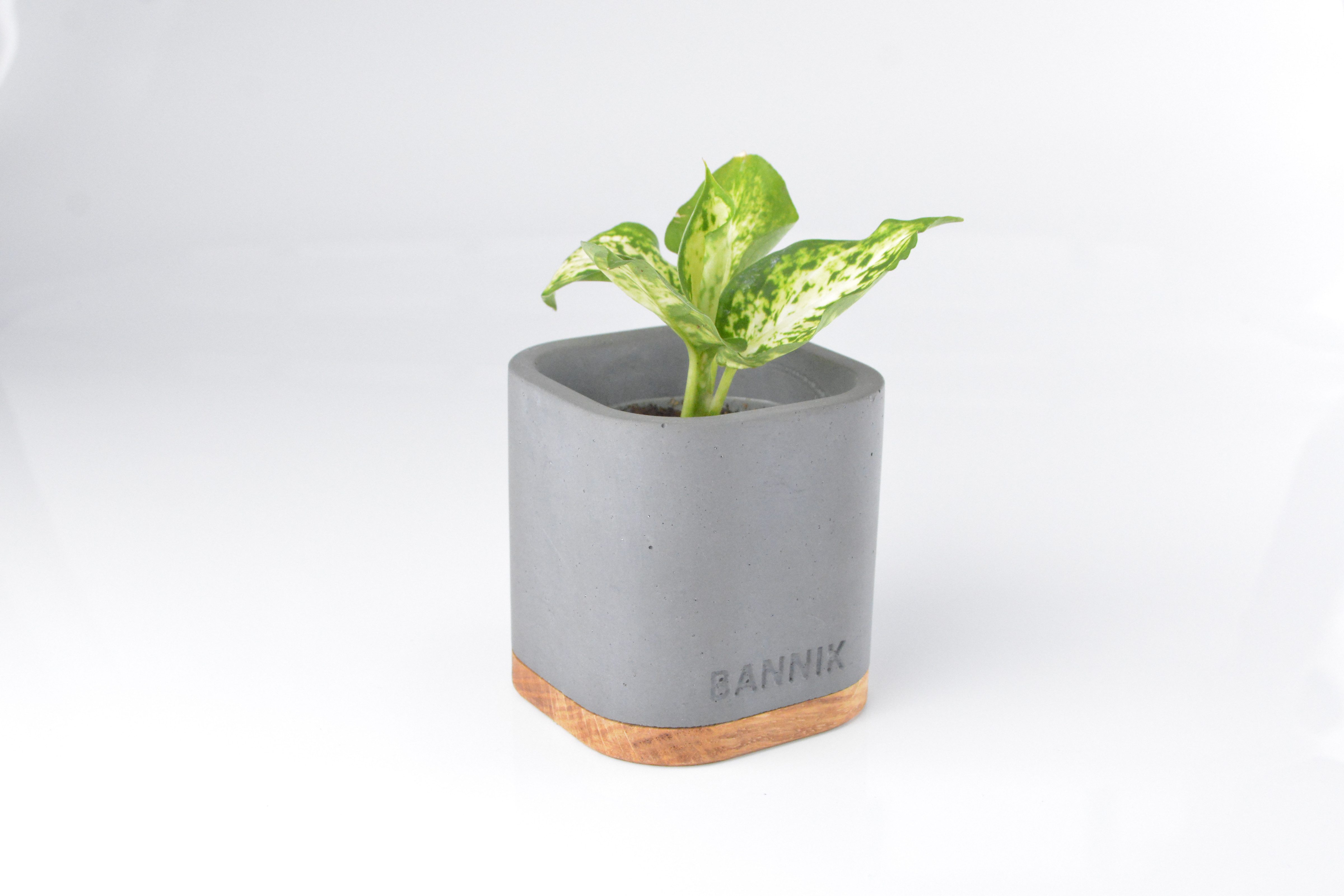 Bannik Blumentopf aus Beton und Holz günstig online kaufen