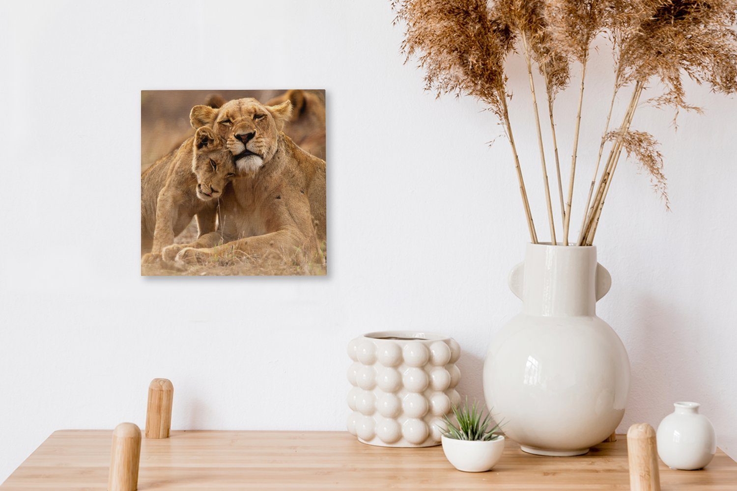 OneMillionCanvasses® Schlafzimmer Wohnzimmer für Wilde - Löwe St), Jungtier, Bilder Leinwand - Tiere (1 Leinwandbild