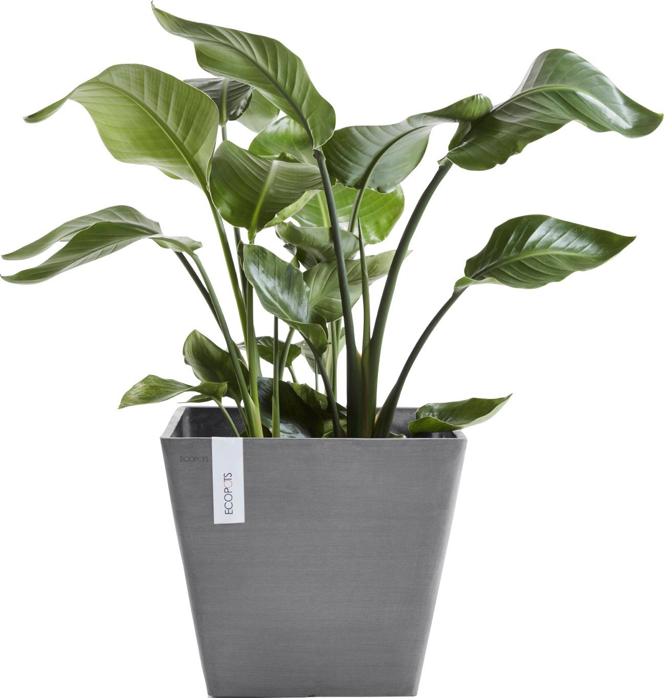 ECOPOTS Blumentopf ROTTERDAM Grey, BxTxH: cm 40x40x35